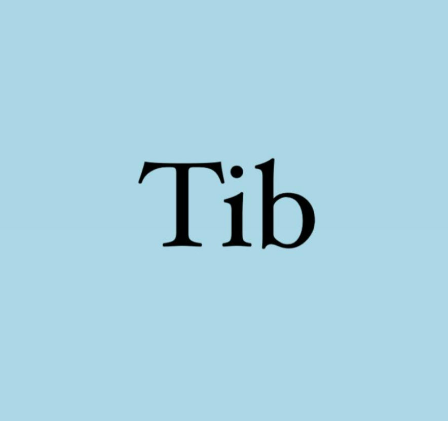 Tib (TinyWeb) Cover Art